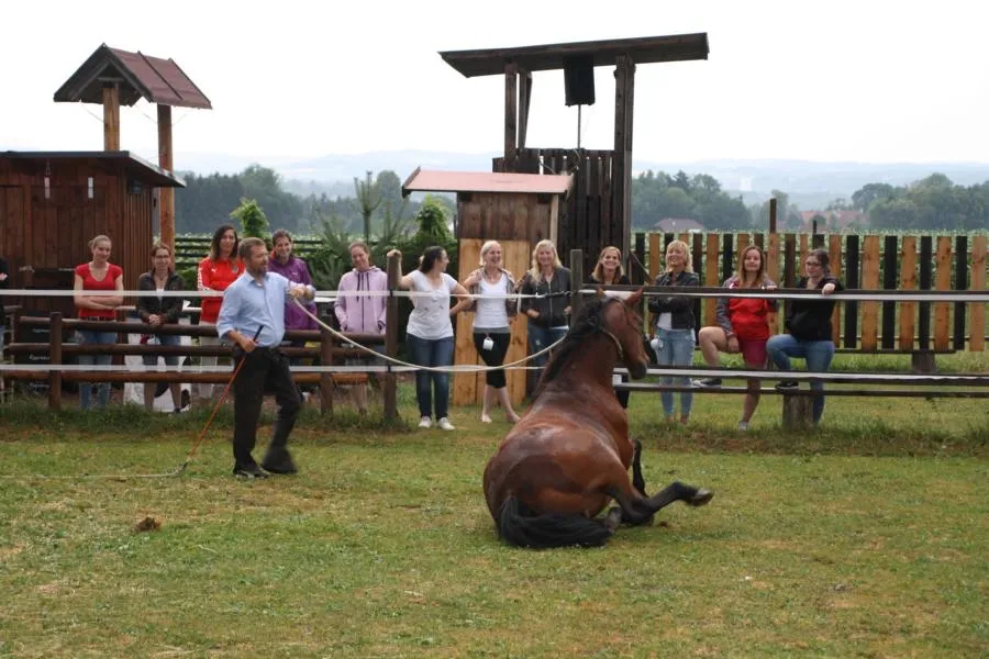 Pferdeshow im Camp